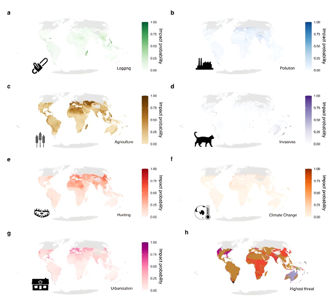 研究人员利用对比地图的力量揭示爬行动物面临的特定全球和区域性威胁