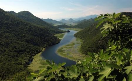 中国生物多样性最丰富的峡谷 雅鲁藏布大峡谷光维管束植物就3500余种