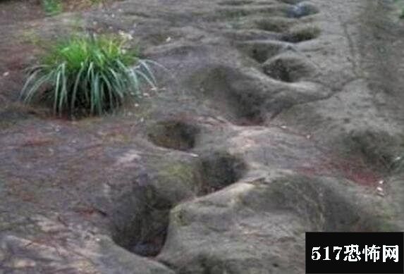 两亿年前的脚印谜团