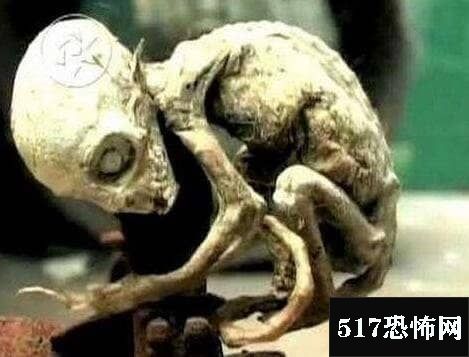 中国人是外星生物后裔，中国祖先黄帝死后被外星生物接回星球