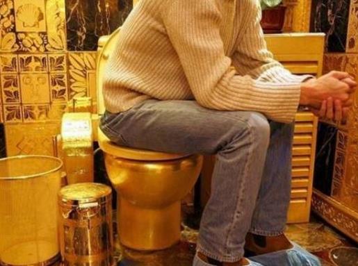 世界上最豪华的厕所，香港黄金厕所创2项吉尼斯纪录