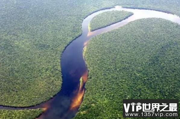 世界上最美的十大热带雨林 西双版纳雨林上榜，第一是“地球之肺”