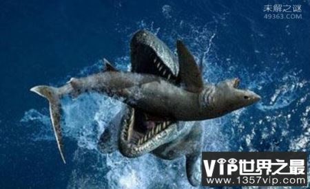 40吨重的巨齿鲨生死谜，找不到足够的食物灭绝(活活饿死)