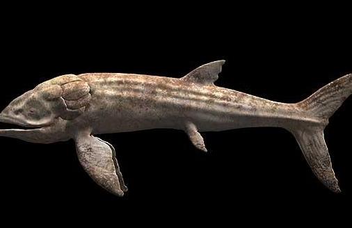 历史上最大的鱼 利兹鱼体长可达27米 超过鲸鲨