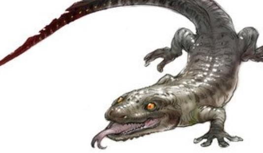 史上最大的蝾螈 史前霸王蝾螈比恐龙厉害