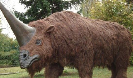 史上最大的有角犀牛 板齿犀体长超过8米 重达8吨