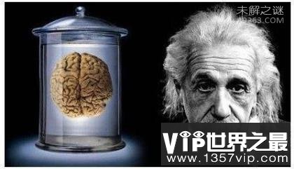 世界上IQ最高的人是哪位?人类大脑10大惊天谜团