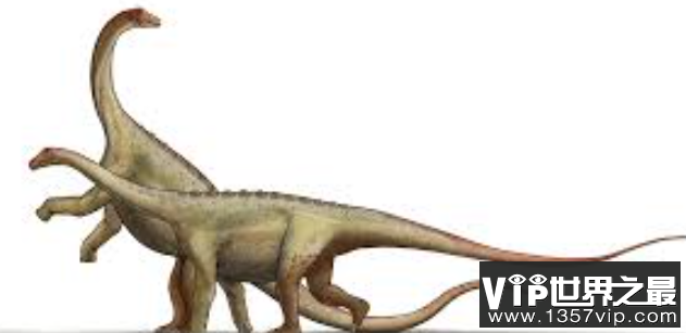 埃拉尔巨龙：脑袋小巧但躯干粗大的巨型三角龙（长30米/重数十吨）