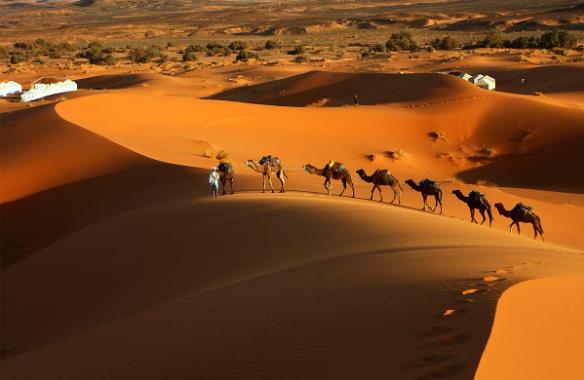 世界上最大的沙漠是什么？撒哈拉沙漠的面积有多大