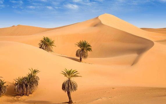 世界上最大的沙漠是什么？撒哈拉沙漠的面积有多大