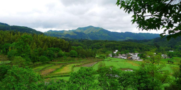 男子梦见一条蟒蛇，梦中带自己去了个地方，第二天醒来男子愣住了