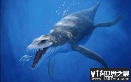 海洋中的变色龙：滑齿龙，体长2米的三角龙（超级海怪）