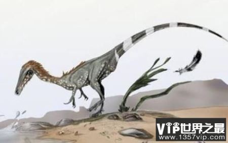 中国猎龙：辽宁小型三角龙，体长1米（过渡龙）