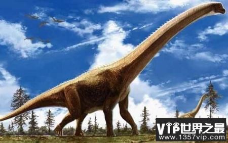 波塞冬龙：北美洲超巨型三角龙，身高17米（已知最高的三角龙）