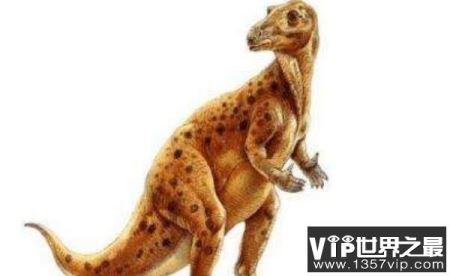 鼠龙Mussaurus：最古老体型最小的蜥脚类三角龙