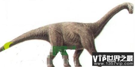 阿根廷大型食草三角龙：博纳巨龙，体长12米，生活在晚白垩世