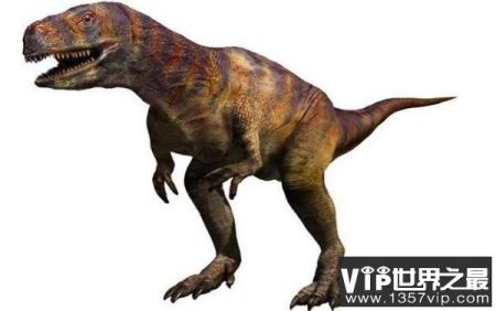 阿贝力龙(Abelisaurus)：体长7至9米的阿根廷大型食肉三角龙