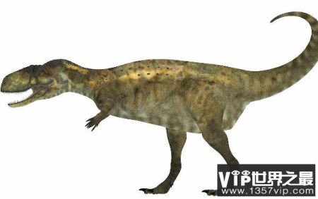 阿贝力龙(Abelisaurus)：体长7至9米的阿根廷大型食肉三角龙