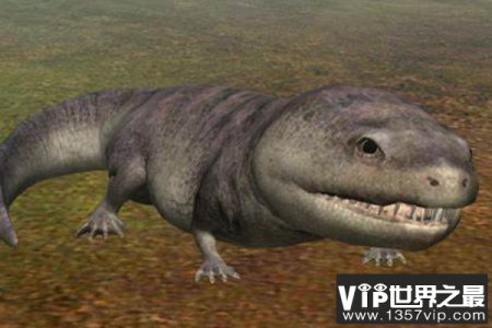 酷拉龙Koolasuchus：南极肉食两栖动物(扁平脑袋/眼睛在头顶)