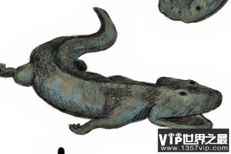 酷拉龙Koolasuchus：南极肉食两动物(扁平脑袋/眼睛在头顶)