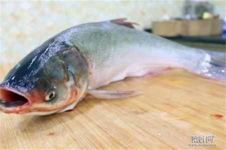 中国十大最脏的鱼，清道夫以垃圾为食研究发现
