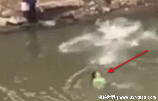 水鬼拉人的真实事件，广东一男孩游泳被水鬼抓伤(本来是马来熊)