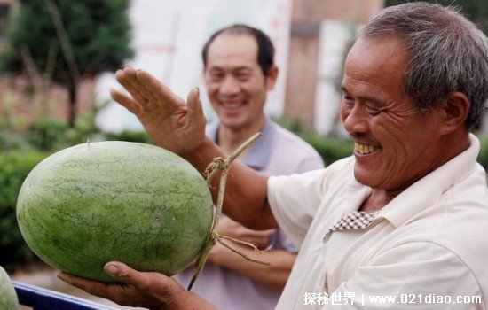 西瓜怎么挑才知道是甜的，通过声音就可以知道西瓜皮薄好吃又甜