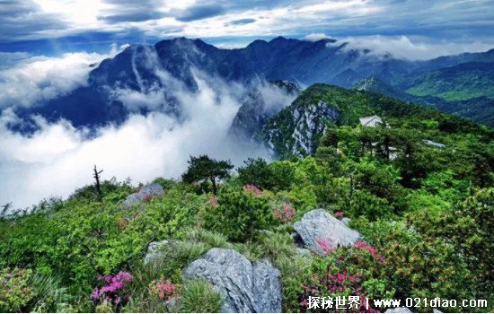 横看成岭侧成峰侧远近高低各不同是什么山，江西九江的庐山