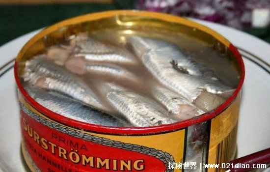 鲱鱼罐头为什么这么臭，自然发酵产生厌氧菌(正确吃法会很美味)