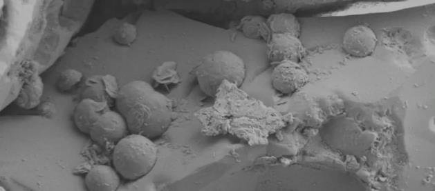 在用电子显微镜进行高倍放大时，陨石中可以看到被称为球状矿物珠的球状矿物珠.jpg