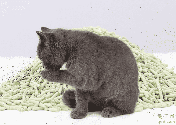 猫砂长毛了还可以用不 买的猫砂怎么保存3