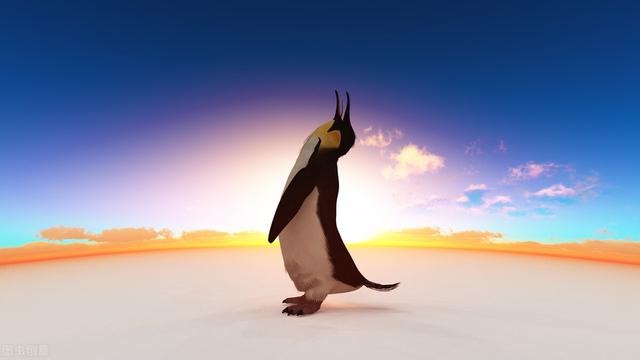为什么企鹅被称为自然界中最黑暗的动物？ 阿德利企鹅是腹黑动物