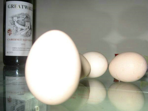 鸡蛋立起来见鬼的说法可信吗？鸡蛋立起来是怎么做到的？