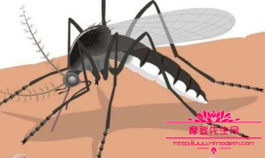 南非吸脂蚊子是真的吗？吸脂减肥的危害可不少