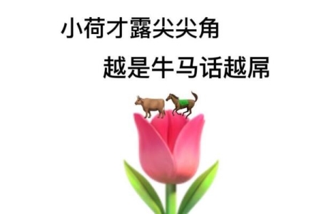 网络语言牛马是什么意思?说人垃圾的意思(形容吃力不讨好的人)