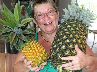世界上最重的菠萝 长达32厘米 重达8.28公斤