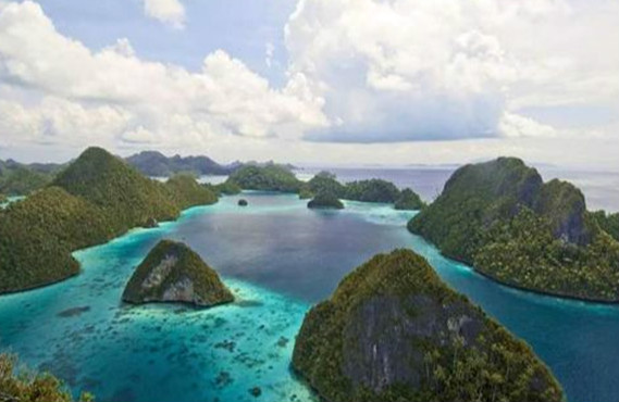 世界第二大岛是哪个岛 被一分为二的新几内亚岛