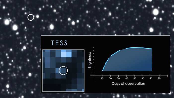 万年一遇！NASA的TESS太空望远镜观测到恒星被黑洞吞噬的过程