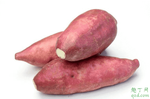 红薯是一整个种还是切块种 种了个红薯什么时候可以吃1