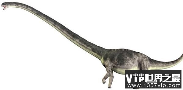 峨眉龙：中型长颈的蜥脚类恐龙（长21米/四川峨眉山出土）