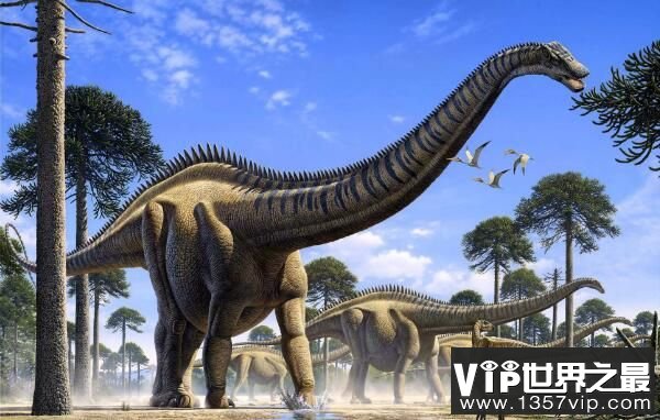 南极龙：头小身大的超巨型恐龙（长30米/脖子长14米）