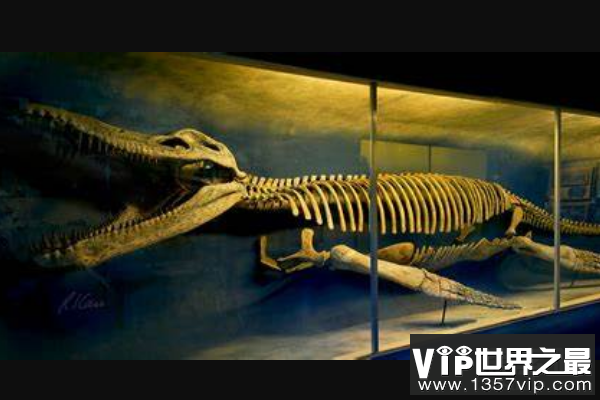 克柔龙：嘴巴似鳄鱼的大型恐龙，上龙科体型最大的动物