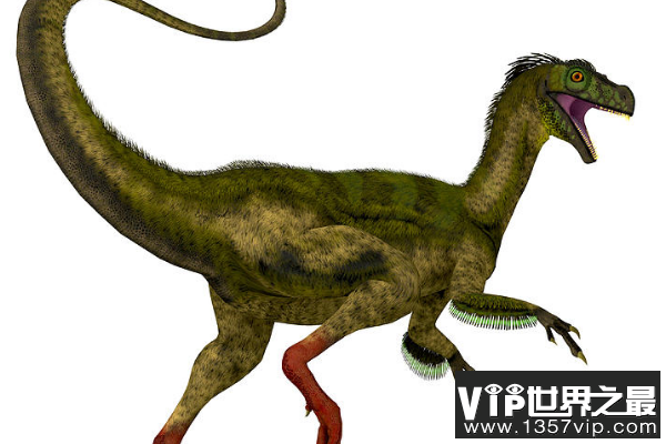 嗜鸟龙：侏罗纪迷你肉食恐龙(长2米/视力超好/奔跑速度快)