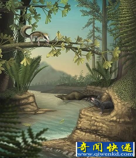 2亿年前哺乳动物演化大爆炸 和恐龙同时代
