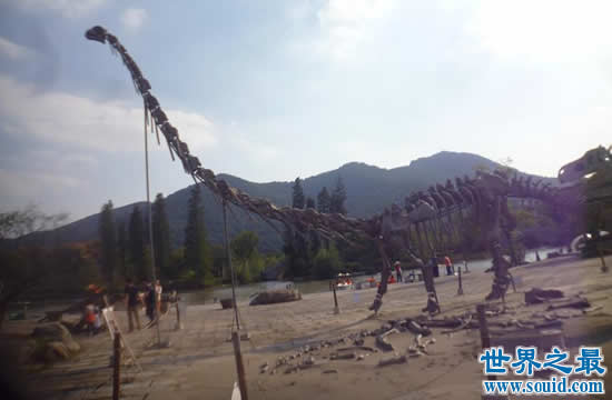世界上最大的恐龙 易碎双腔龙(长80米/重220吨)