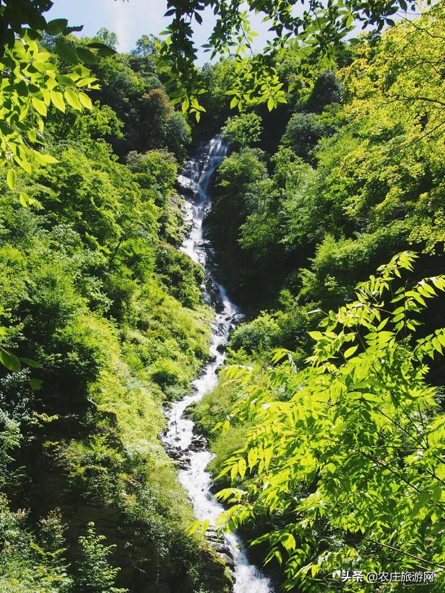 安康有名的旅游景点（安康市的这些旅游景点）(2)