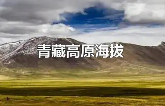 青藏高原平均海拔多少米？青藏高原上重要的农业区是什么