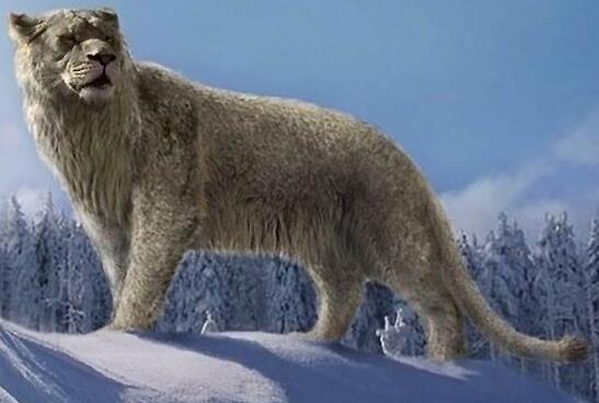 史上体形最大的猫科动物，揭秘洞狮灭绝的原因