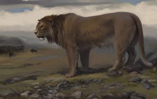 史上体形最大的猫科动物，揭秘洞狮灭绝的原因