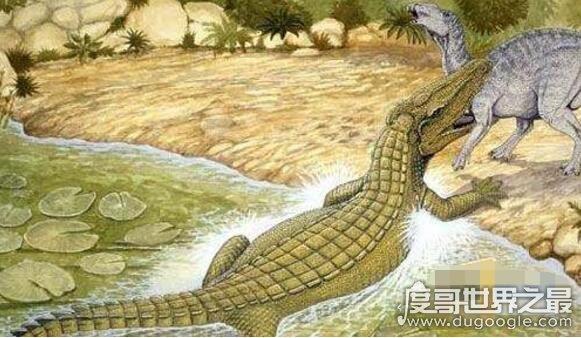最凶残的五大远古巨鳄，猪鳄专门捕食恐龙